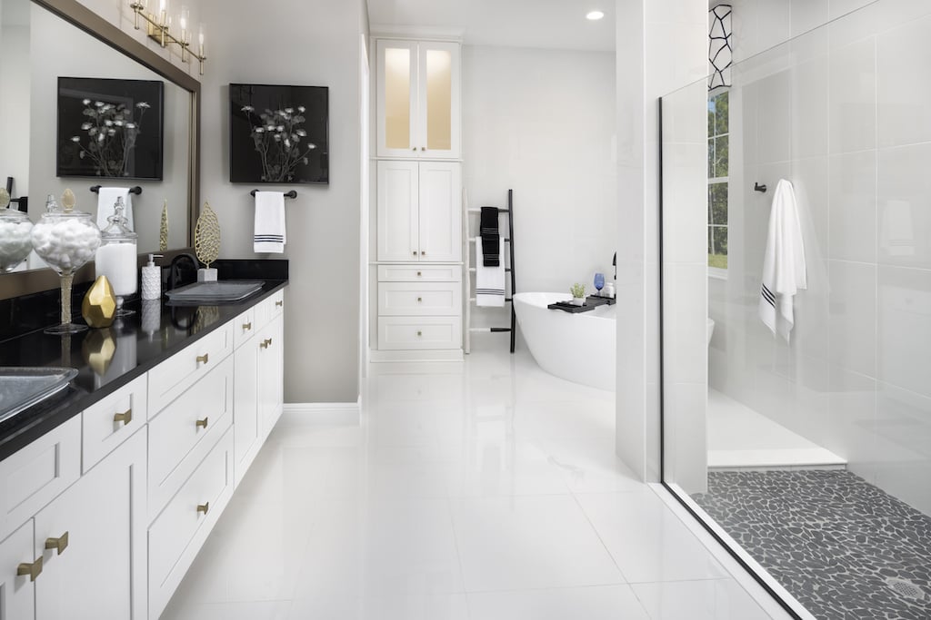 Large bathroom area with white cabinets, black countertops, and roomy shower